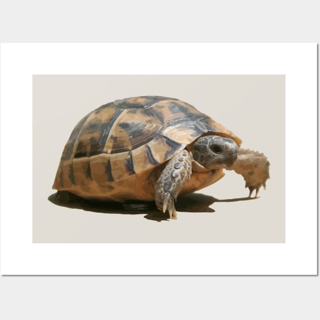 Portrait of a Young Wild Tortoise Isolated Wall Art by taiche